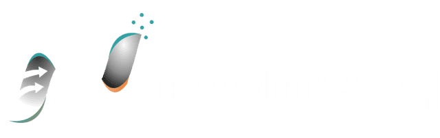 noomeriq logo